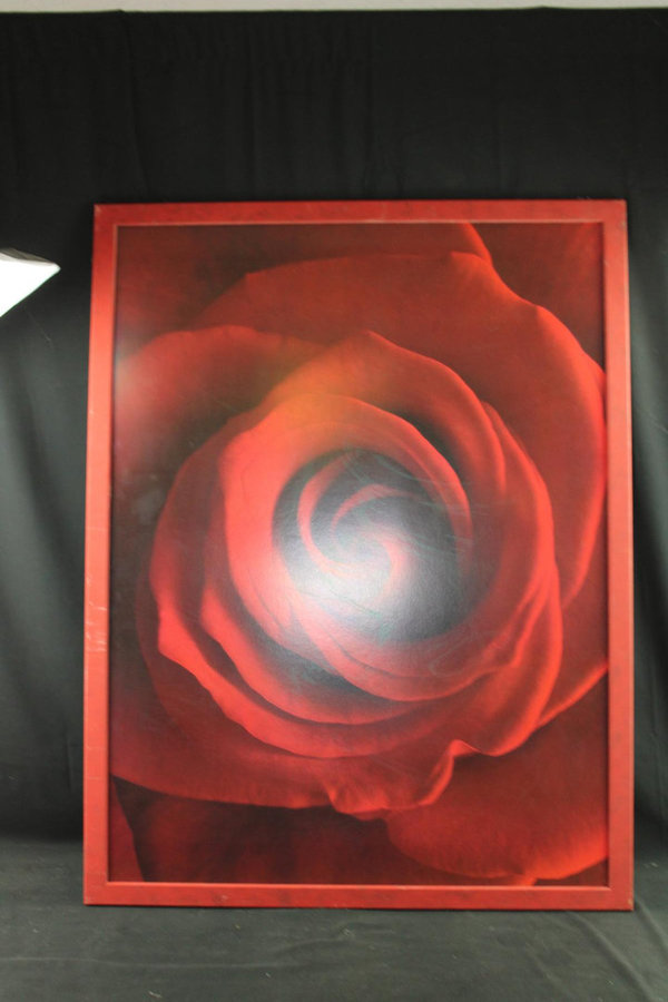 Bild " Rote Rose " 126 x 96 cm